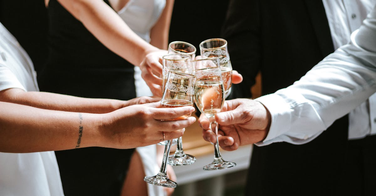 Group of People Clinking Glasses